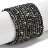 Natural African Turquoise(Jasper) Beads Strands G-RM241221-B9-2