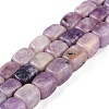 Natural Lepidolite Beads Strands G-M403-D06-01-1