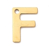304 Stainless Steel Charms LS-STAS-B093-12G-F-1