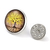 Round Glass Brooches JEWB-A022-02E-2