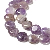 Natural Amethyst Beads Strands G-P489-05-4