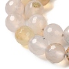 Dyed & Heated Natural Agate Beads Strands G-P539-D01-01-4