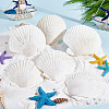 Natural Shell Display Decorations SSHEL-WH0001-39D-5