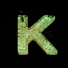 Luminous Resin Pendants X1-RESI-I059-K01-3