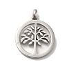 Non-Tarnish 304 Stainless Steel Pendants STAS-M311-09P-2