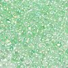 6/0 Inside Colours Fringe Glass Seed Beads SEED-A034-03A-3