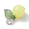 Acrylic Pendants PALLOY-JF02614-01-4