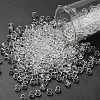 TOHO 6/0 Round Beads SEED-XTR06-0001-1