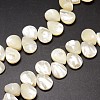 Natural Trochid Shell/Trochus Shell Beads Strands SSHEL-K009-06-3