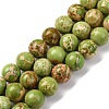 Dyed Natural Regalite/Imperial Jasper/Sea Sediment Jasper Beads Strands G-B124-C03-08-1