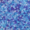 Frosted Colours Glass Seed Beads PW-WG88870-19-1