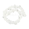 Transparent Glass Enamel Beads Strands GLAA-B021-05A-2