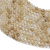 Watermelon Stone Glass Beads Strands G-Z116-A23-3mm-4