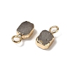 Natural Labradorite Rectangle Charms G-Q169-07G-11-2