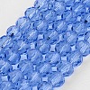 Transparent Glass Bead Strands X-GLAA-G013-10mm-25-1