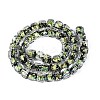 Handmade Foil Glass Beads Strands FOIL-Q002-04A-2