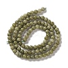 Natural Alashan Agate Beads Strands G-P530-B05-01-3