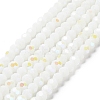 Opaque Glass Beads Strands LS-EGLA-A035-P6mm-L01-1