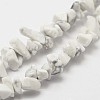 Natural Howlite Beads Strand LS-G-F328-05-3
