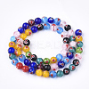 Handmade Lampwork Beads Strands X-LAMP-S191-10A-2