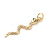 Brass Micro Pave Cubic Zirconia Pendants ZIRC-P121-03B-G-2