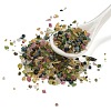 Natural Multicolor Tourmaline Chip  Beads G-B101-01-2