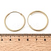 Brass Hoop Earrings EJEW-G474-01G-04-5