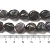 Natural Iolite Beads Strands G-C179-F06-01-5