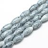 Baking Paint Glass Beads Strands DGLA-S115-22x10mm-S71-1