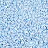 Opaque Colours Luster Glass Seed Beads SEED-T006-02B-2
