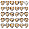 30Pcs Brass with Glass Sew on Rhinestone FIND-FG0004-73B-1