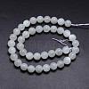 Natural White Moonstone Round Bead Strands G-M262-10mm-04-2