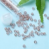 6/0 Transparent Glass Seed Beads SEED-YW0002-11C-6