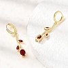 Brass Micro Pave Cubic Zirconia Hoop Earrings CU-CBA108A-14G-03-3