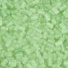 FGB Frosted Transparent Glass Seed Beads SEED-N013-05A-08-3