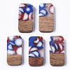Two-tone Transparent Resin & Walnut Wood Pendants X-RESI-S384-008A-B08-1