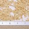 MIYUKI Delica Beads X-SEED-J020-DB0099-4