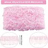 Polyester Lace Trim OCOR-WH0058-07A-2