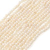 Natural Cultured Freshwater Pearl Beads Strands PEAR-L034-14B-2