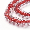 Handmade Lampwork Beads Strands LAMP-F014-F04-A-2