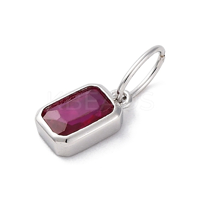 925 Sterling Silver Cubic Zirconia Charms STER-NH0014-01P-07-1