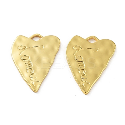 304 Stainless Steel Pendants STAS-F304-06G-02-1