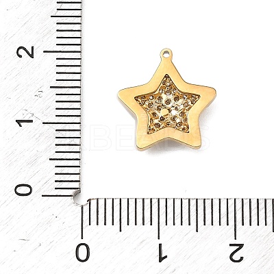 304 Stainless Steel Micro Pave Cubic Zirconia Charms LS-STAS-I356-04G-03-1