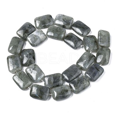 Natural Labradorite Beads Strands X-G-T121-13-1