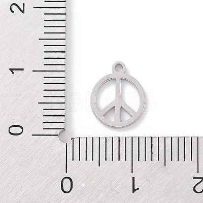 Non-Tarnish 304 Stainless Steel Charms STAS-K286-01B-P-1