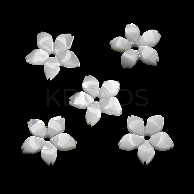 Natural White Shell Beads SH-CBA93AD-08-1