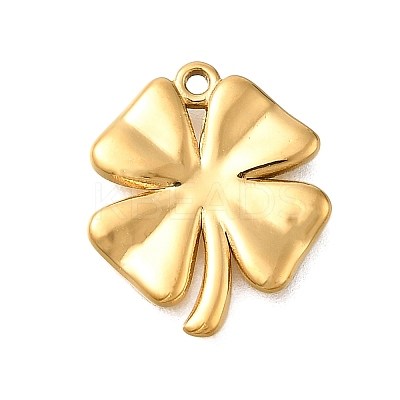 304 Stainless Steel Charms STAS-R159-09G-1