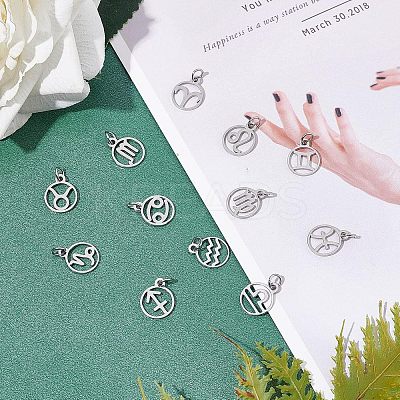 304 Stainless Steel Charms STAS-UN0003-66P-1