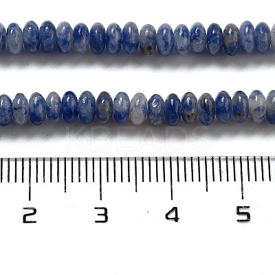 Natural Blue Spot Jasper Beads Strands G-K343-C18-01-1