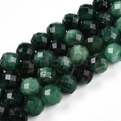 Natural Fuchsite Beads Strands G-T140-20A-1